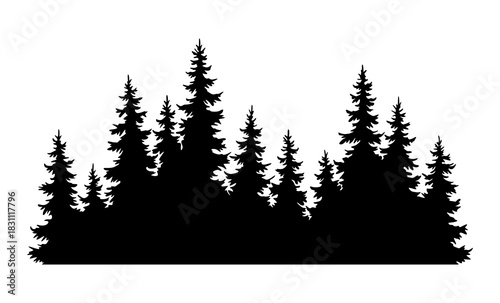 Fir trees silhouette. Coniferous spruce horizontal background pattern, black evergreen woods vector illustration. Beautiful hand drawn panorama of coniferous forest