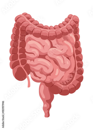 Smooth muscles tissue with specific function. Medical poster design illustration. Science educational symbol