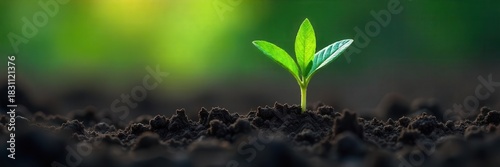 A vibrant green sprout pushing through dark, fertile soil , beginning, texture