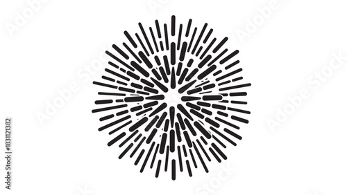 Radial Firework Like Starburst: A Crisp Black and White Graphic Pattern with Circular Symmetry.