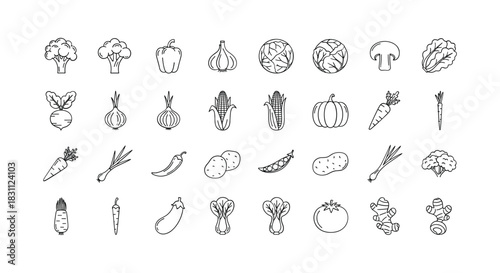 Collection of various line art vegetables vector illustration isolated on white