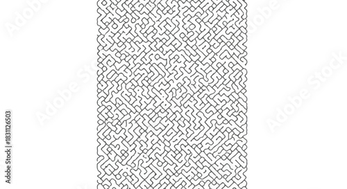 Intricate Maze Pattern - A Complex Labyrinth of Lines and Pathways.