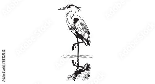 Monochrome Sketch of a Heron Standing in Quiet Water with Reflections.