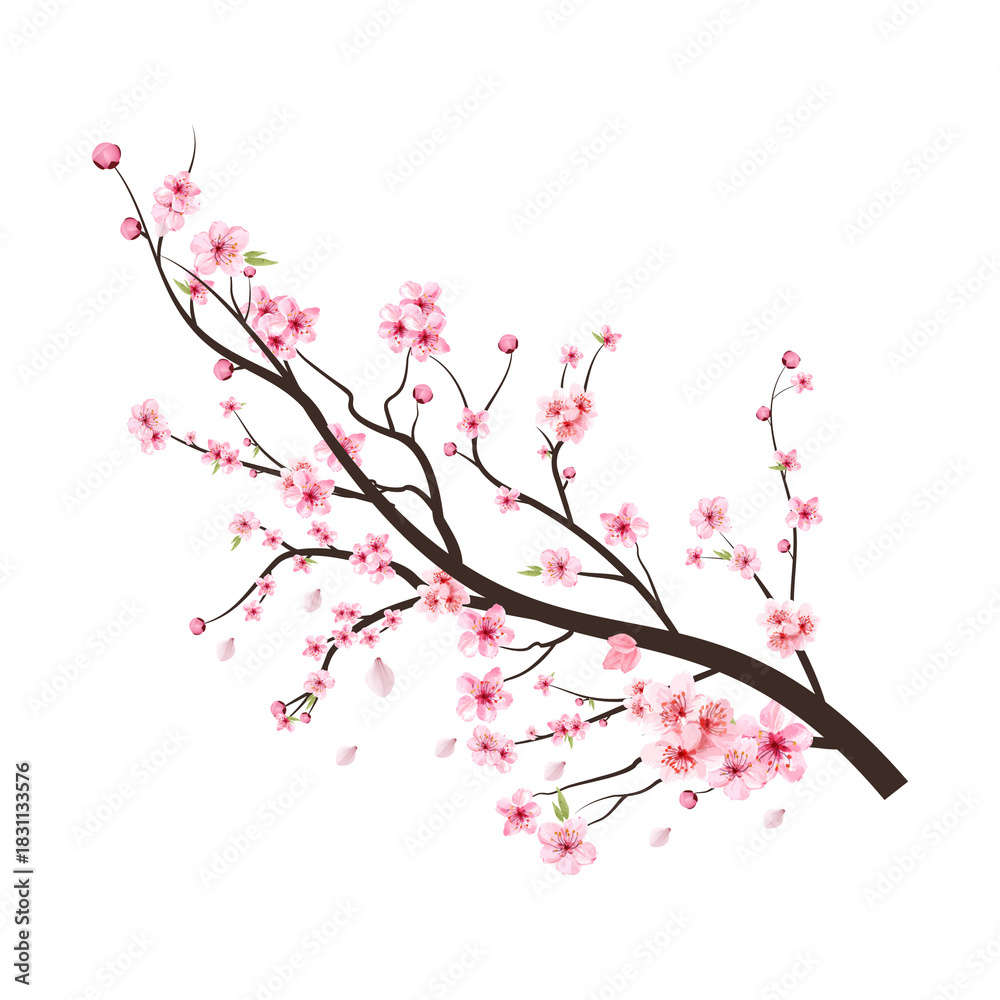 Fototapeta premium pink cherry blossom
