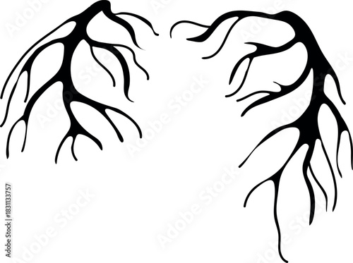 Black silhouette of roots isolated on white background	