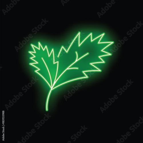Green neon sign showing a coriander leaf, a popular culinary herb, on black background