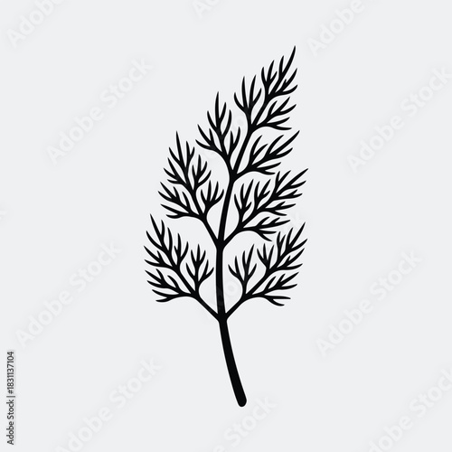 Silhouette aromatic dill plant fresh herb vector illustration
