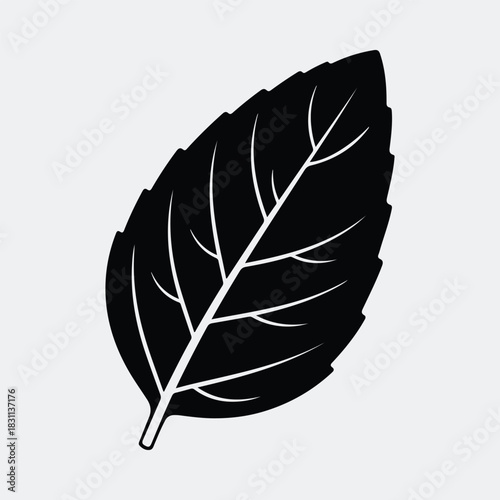 Silhouette basil leaf culinary herb plant simple black vector illustration