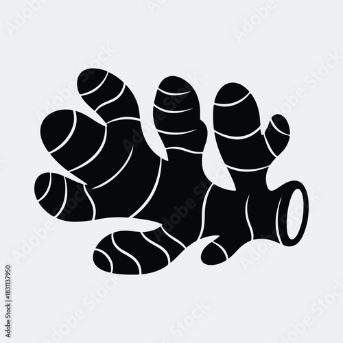 Silhouette ginger root black and white isolated vector illustration