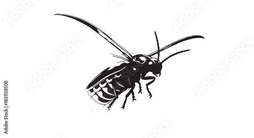 Black stylized wasp silhouette insect illustration on white background.