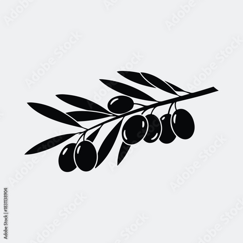 Silhouette olive branch with leaves and olives vector illustration