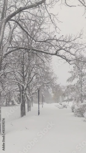 Park covered with snow