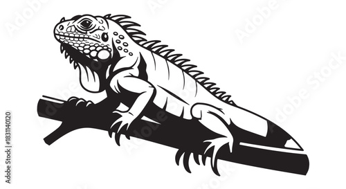 Black and white tribal iguana illustration resting on a branch.