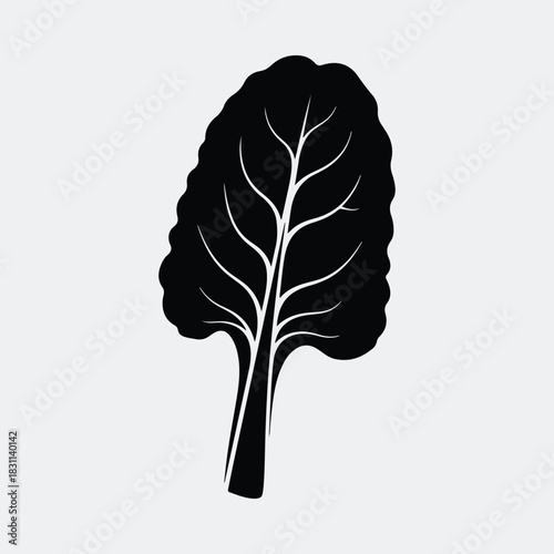 Silhouette swiss chard leaf simple graphic element vegetable vector illustration