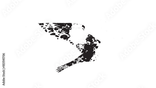 Minimalist black and white silhouette of a bird in flight with dynamic wings.