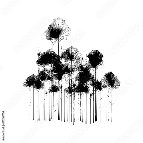 A monochrome illustration of a dense group of trees with detailed foliage and slender trunks on white