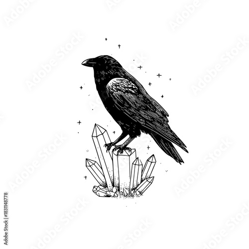 Raven perched on crystals illustration black and white gothic bird art print mystical occult design