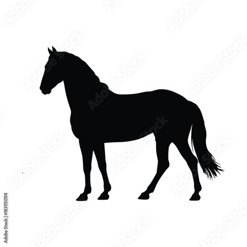Black vector silhouette illustration of a wild running horse stallion with a flowing mane and tail isolated on white