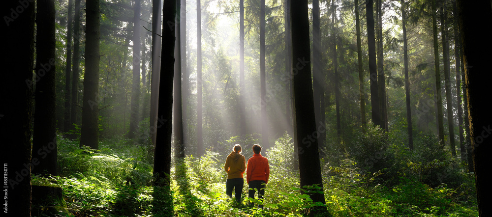 Fototapeta premium Two people standing in a green forest and watching the beautiful sunbeams in the mist
