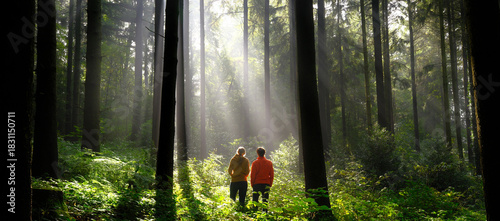 Two people standing in a green forest and watching the beautiful sunbeams in the mist