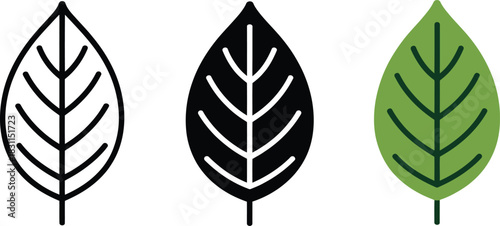 Outline icon of single simple leaf botanical element representing nature growth and ecology