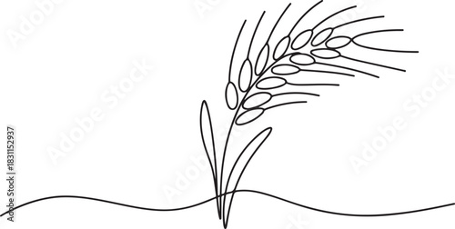 Continuous one line drawing of wheat. Barley or Rye outline vector illustration. one line Icon drawing