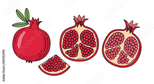Detailed illustration of whole and sliced pomegranates with visible seeds