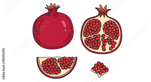 Detailed illustration of a whole and sliced pomegranate with its seeds