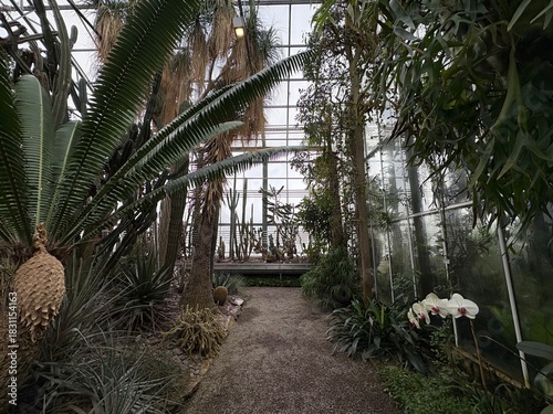 Exotic plants at the botanical garden in Saint Gallen in Switzerland 22.11.2025
