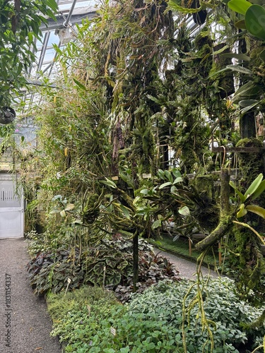 Exotic plants at the botanical garden in Saint Gallen in Switzerland 22.11.2025