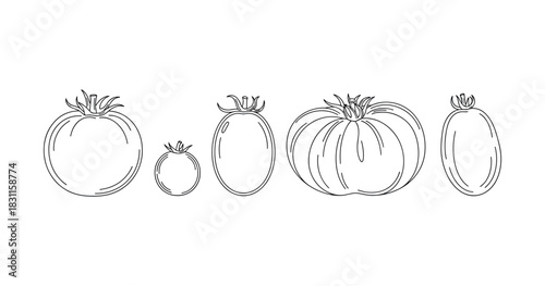 Variety of hand-drawn tomato illustrations in outline style