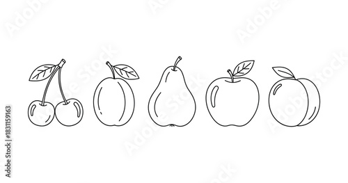Black and white line art of cherry, plum, pear, apple, and peach drawings
