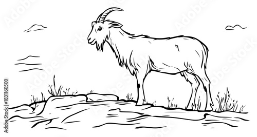Wild Mountain Goat Standing on Rocky Cliff – Detailed Monochrome Line Art Vector Wildlife Illustration