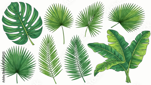 Illustration of various tropical leaves including monstera palm and banana leaves in green shades style 100