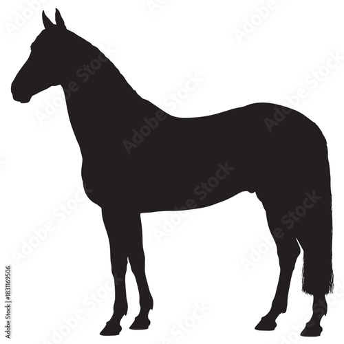 Elegant horse silhouette standing in profile vector illustration isolated on white background