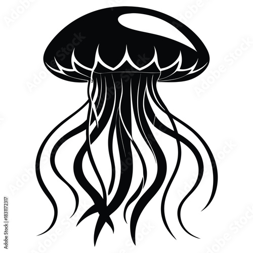 An aquatic creature exhibits a sleek jellyfish form in contrasting black and white