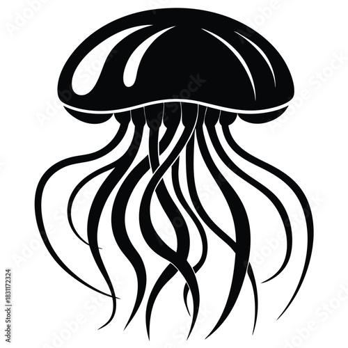 Striking jellyfish illustration shows the marine animal with many tentacles in stark black color