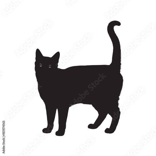 Elegant black cat silhouette standing gracefully vector illustration isolated on white background