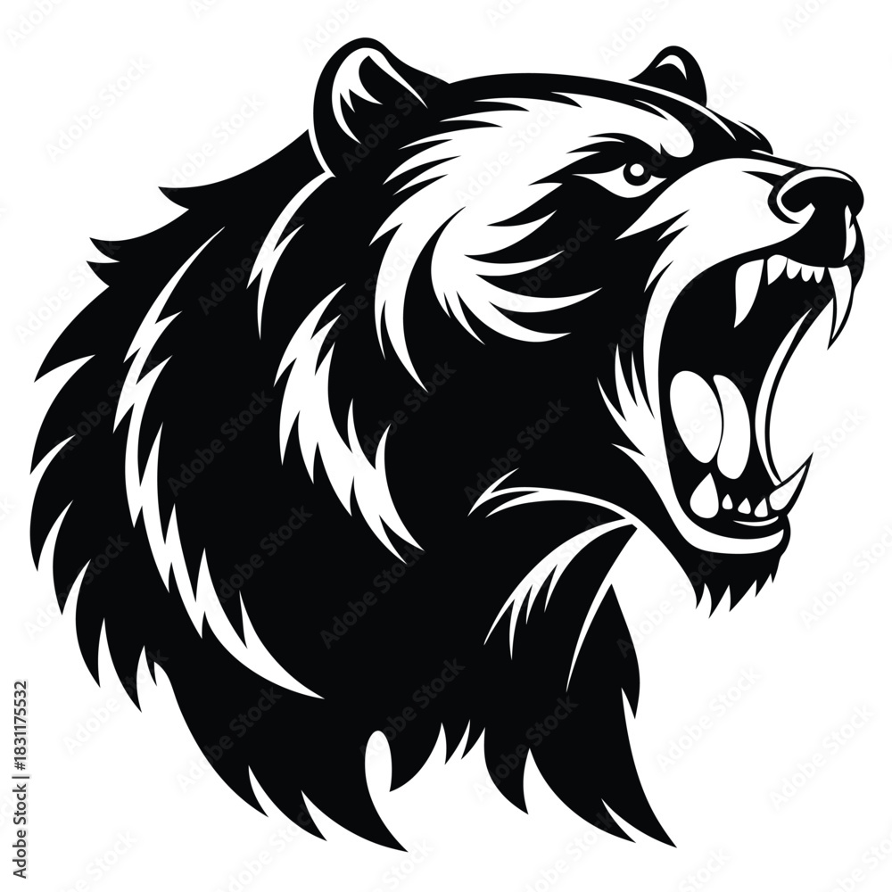 Fototapeta premium Angry black bear roars with open mouth and sharp teeth in the monochrome style