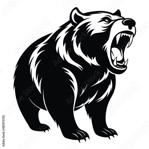 Black bear roars fiercely, its sharp teeth bared in a powerful display of aggression