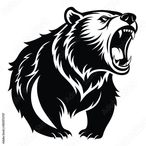A fierce black bear roars ferociously, showcasing its sharp teeth in a black and white vector