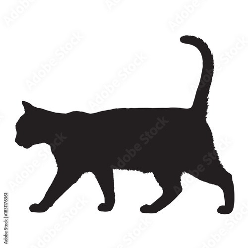 Silhouette of a walking cat elegant feline illustration isolated on white background