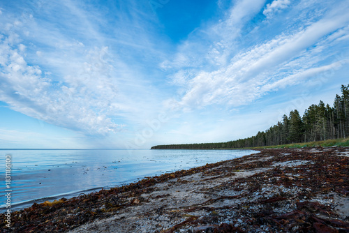 Calm Ocean, Low Tide, Wet Rocks, Seaweed Patterns, and Overcast Sky Creating a Minimalist Coastal Landscape in Grand Makasti, Anticosti Island, Quebec, Canada