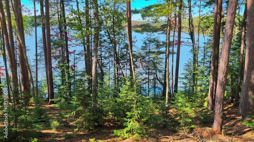 The Northern Highland-American Legion State Forest of Wisconsin contains vast forests and beautiful lakes