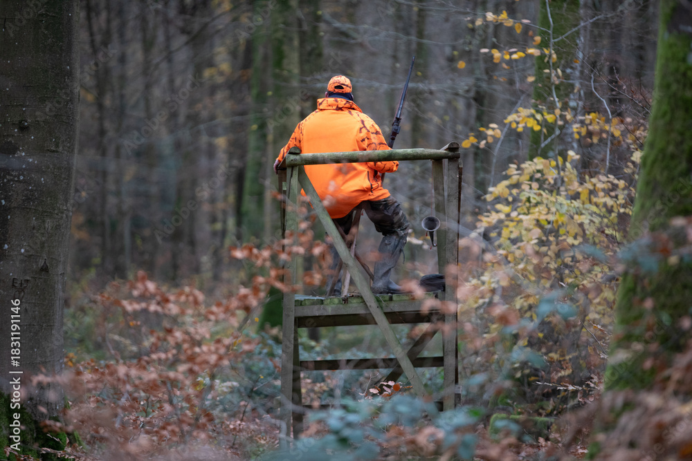 Obraz premium Hunter in high-visibility orange sitting on wooden hunting stand in autumn forest