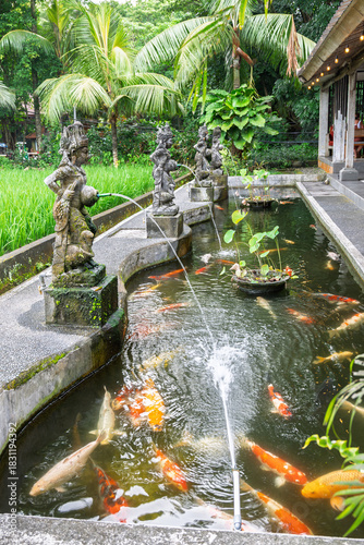 Ubud Bali Indonesia 13 11 2025 – Koi pond with water flowing from stone statues, surrounded by vibrant green rice fields and tropical vegetation.