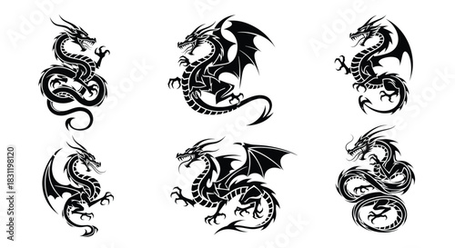 Vector dragon illustrations showcasing fierce mythical creatures, detailed winged reptiles, black and white design, graphic art, isolated on white background