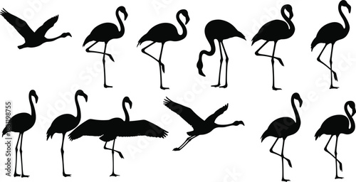 Flamingo silhouette icon set, black vector bird poses, standing walking flying postures, tropical wildlife illustration design