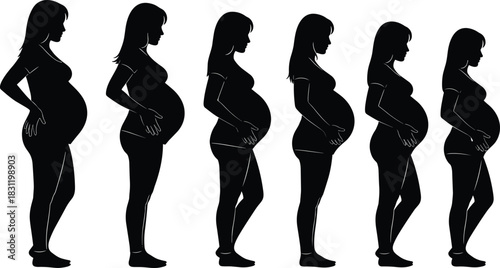 Pregnancy progression silhouette set, black vector icons, female body change, trimester stages, maternity anatomy illustration, medical design