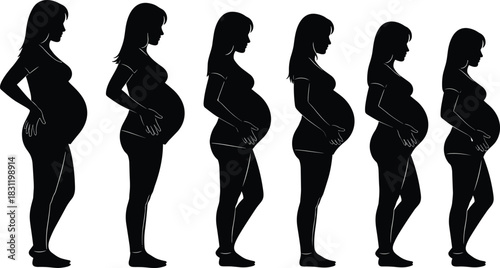 Pregnancy silhouette icon set, black vector figures, trimester progression, female body change, maternity design, medical anatomy illustration